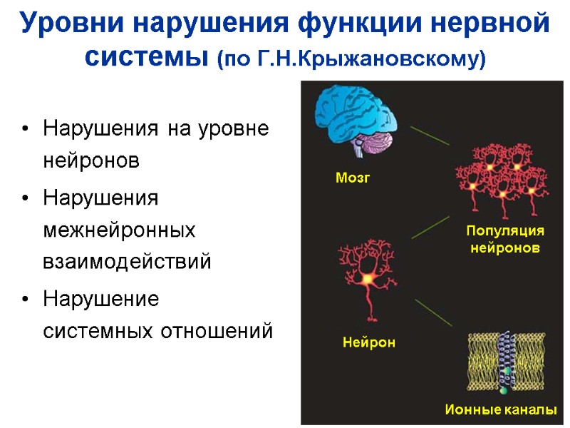 Уровни нарушения функции нервной системы (по Г.Н.Крыжановскому) Нарушения на уровне нейронов Нарушения межнейронных взаимодействий